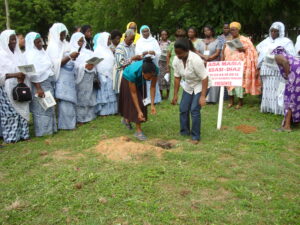 daughters of the african atlantic fund 2012 consultation planting cinnamon tree in memory of ada maria isasi diaz